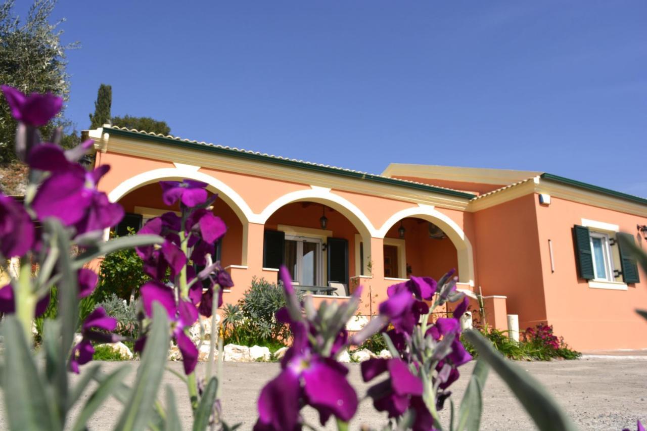 Villa Skafonas Sinarades Экстерьер фото